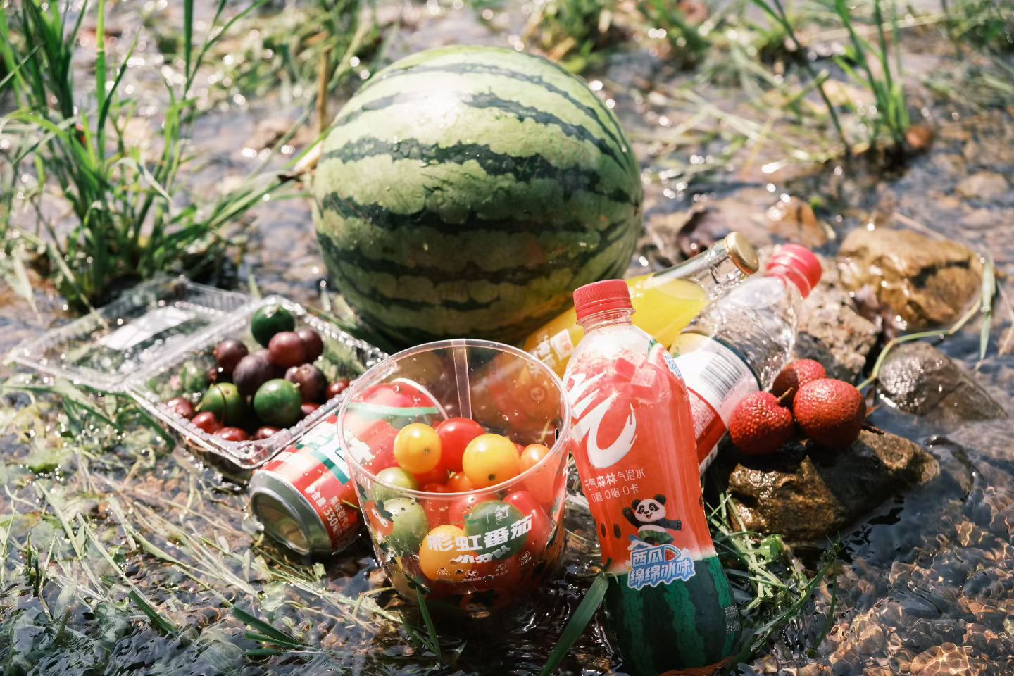摄影点评图片